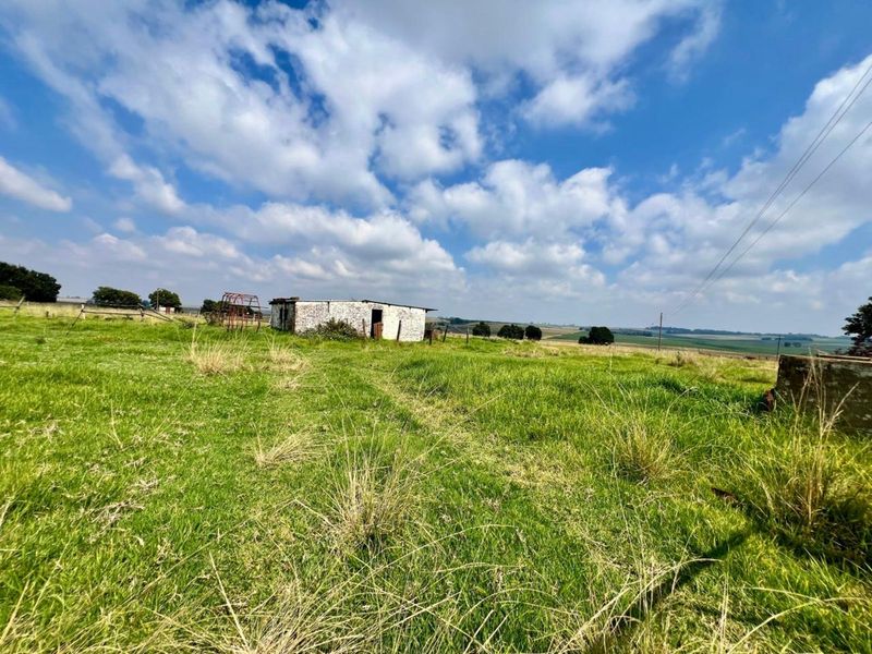 Farm For Sale in Ermelo Central - Photo 3