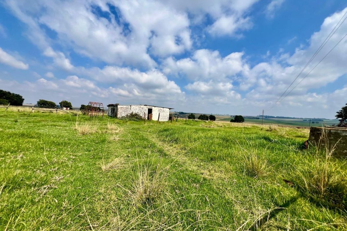 Farm For Sale in Ermelo Central - Photo 3