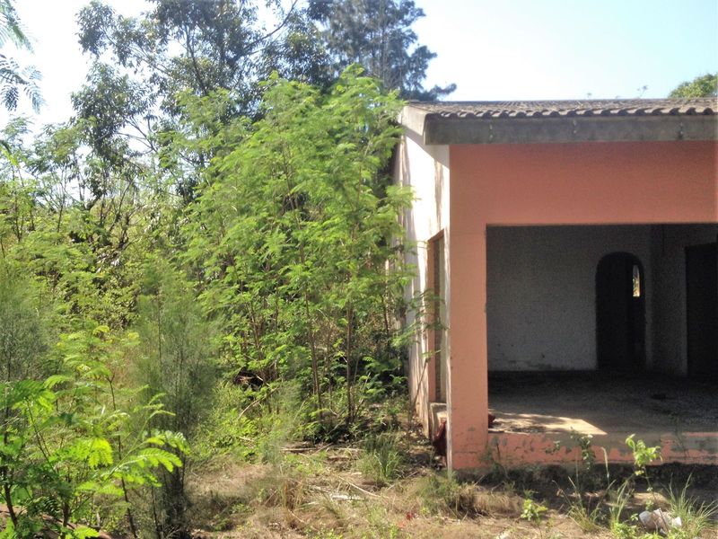 Vacant Land Residential For Sale in Shakaskraal - Photo 3