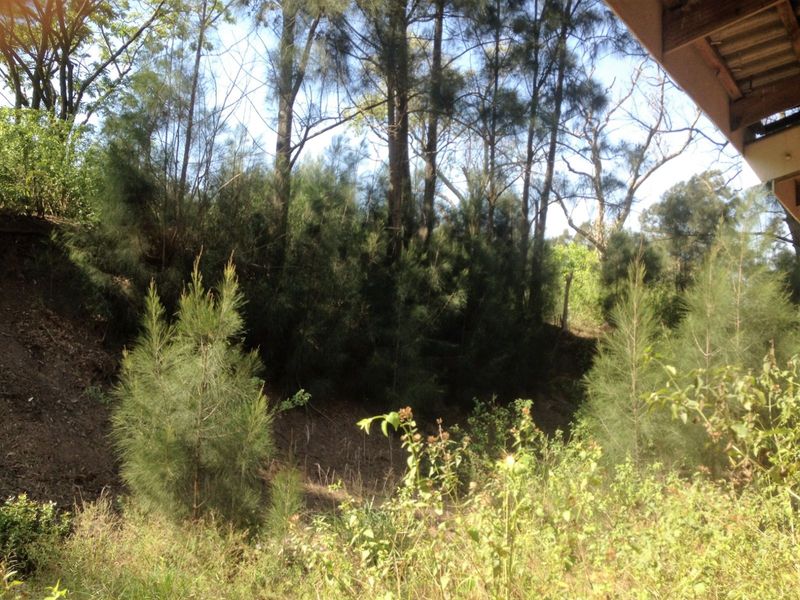 Vacant Land Residential For Sale in Shakaskraal - Photo 5