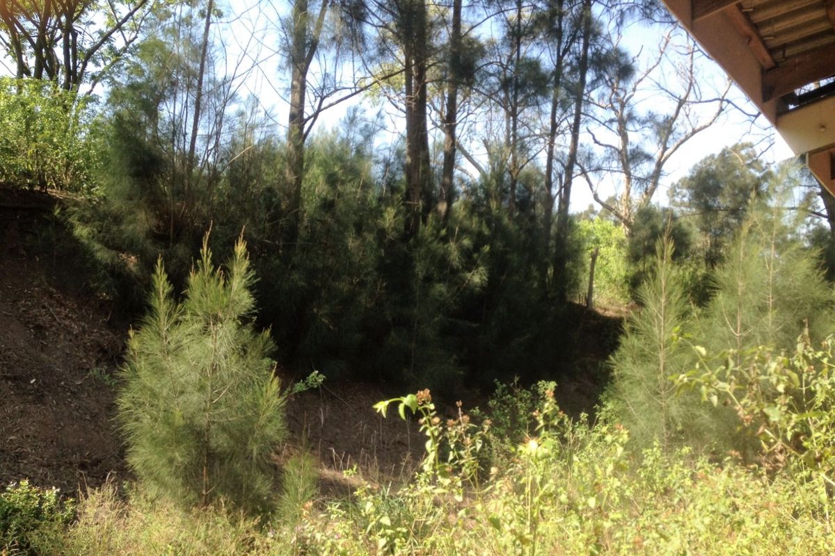 Vacant Land Residential For Sale in Shakaskraal - Photo 5