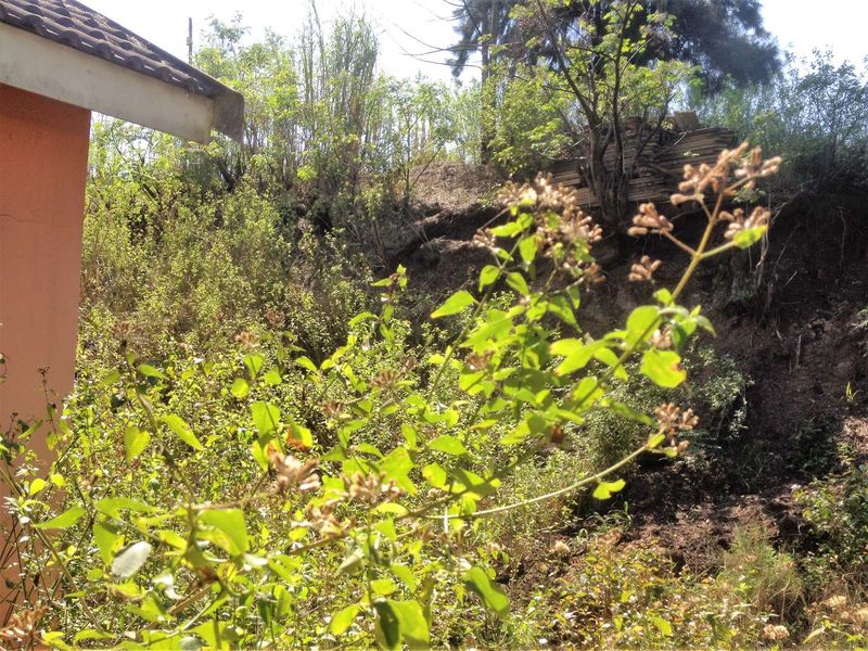 Vacant Land Residential For Sale in Shakaskraal - Photo 6