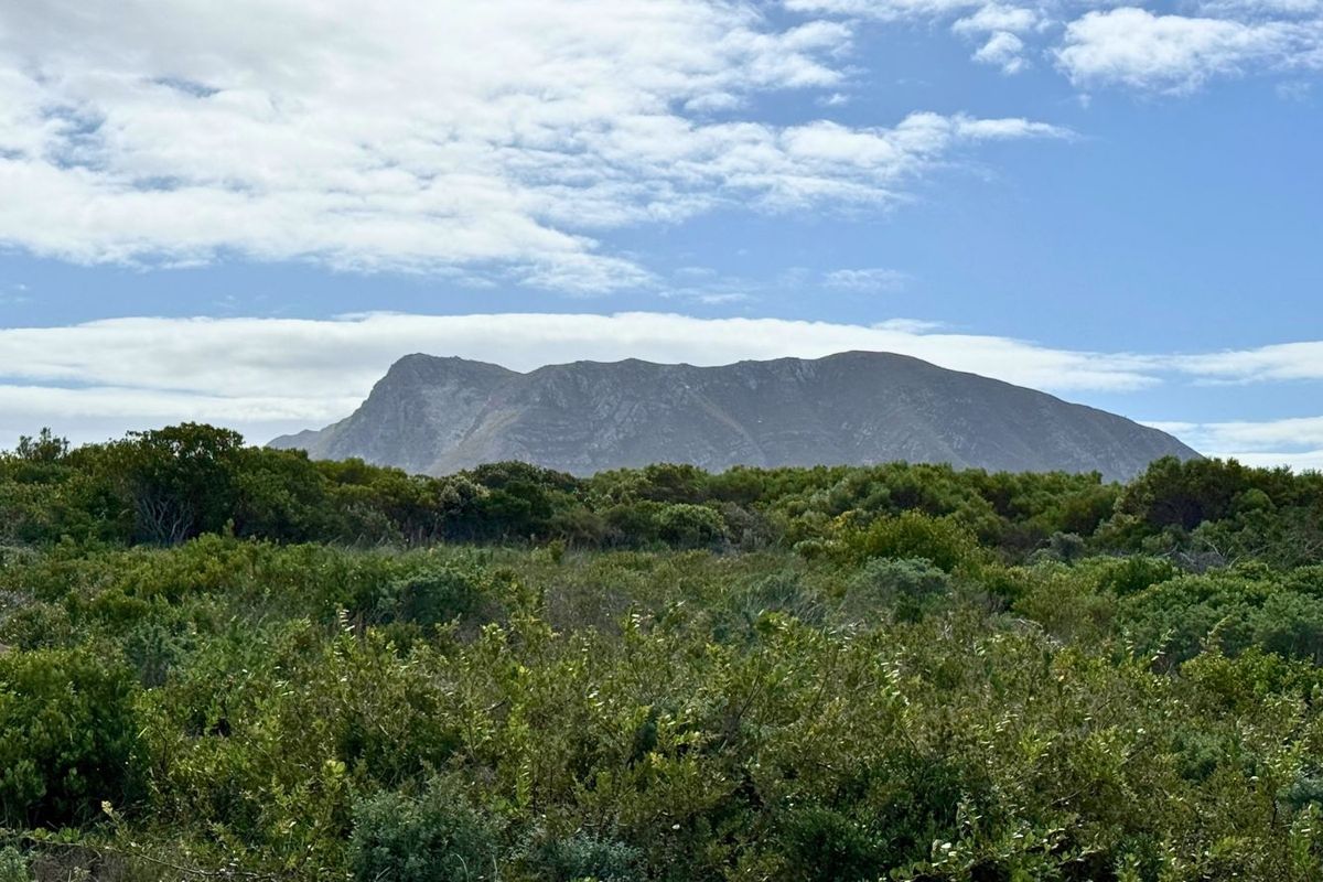 Vacant Land Residential For Sale in Kleinbaai - Photo 2