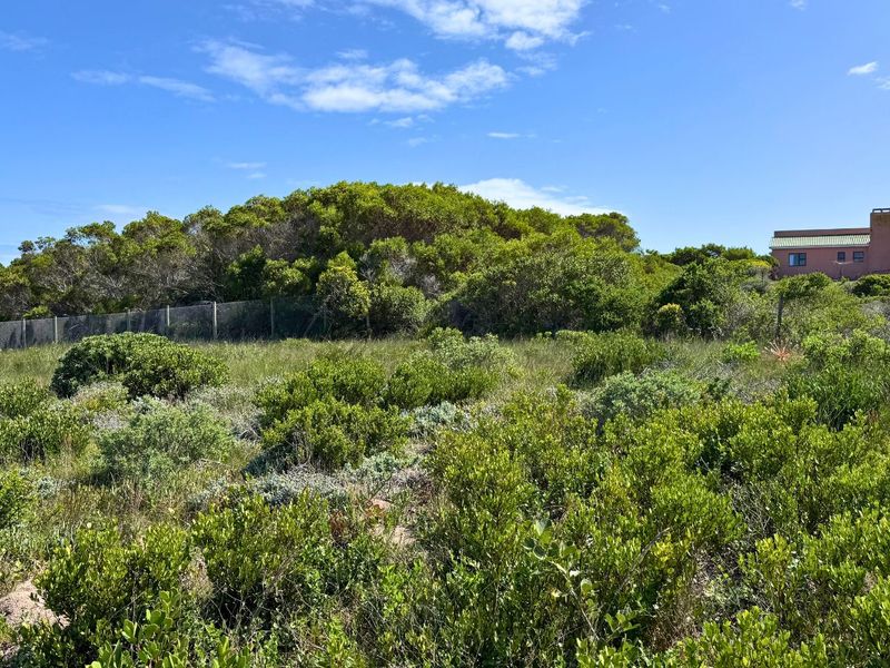 Vacant Land Residential For Sale in Kleinbaai - Photo 7