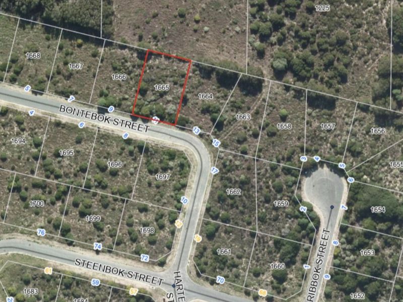 Vacant Land Residential For Sale in Kleinbaai - Photo 10