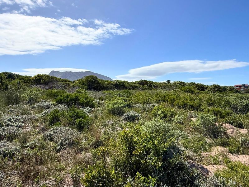 Vacant Land Residential For Sale in Kleinbaai - Photo 8