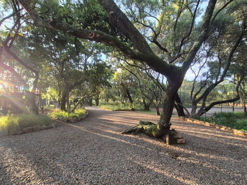 Farm For Sale in Riverside Estate - Photo 6