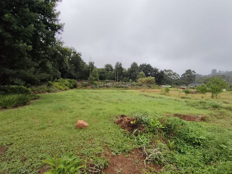 Vacant Land Residential For Sale in Crestholme - Photo 4