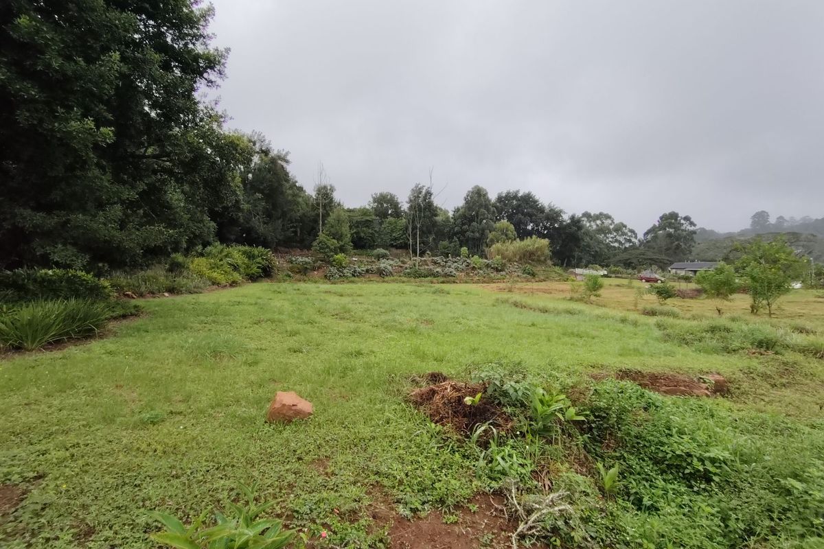 Vacant Land Residential For Sale in Crestholme - Photo 4