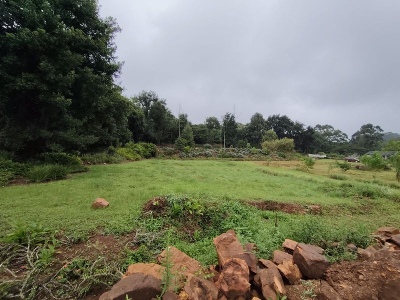 Vacant Land Residential For Sale in Crestholme - Photo 3