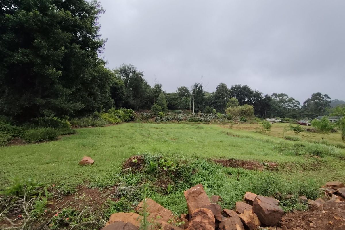 Vacant Land Residential For Sale in Crestholme - Photo 3