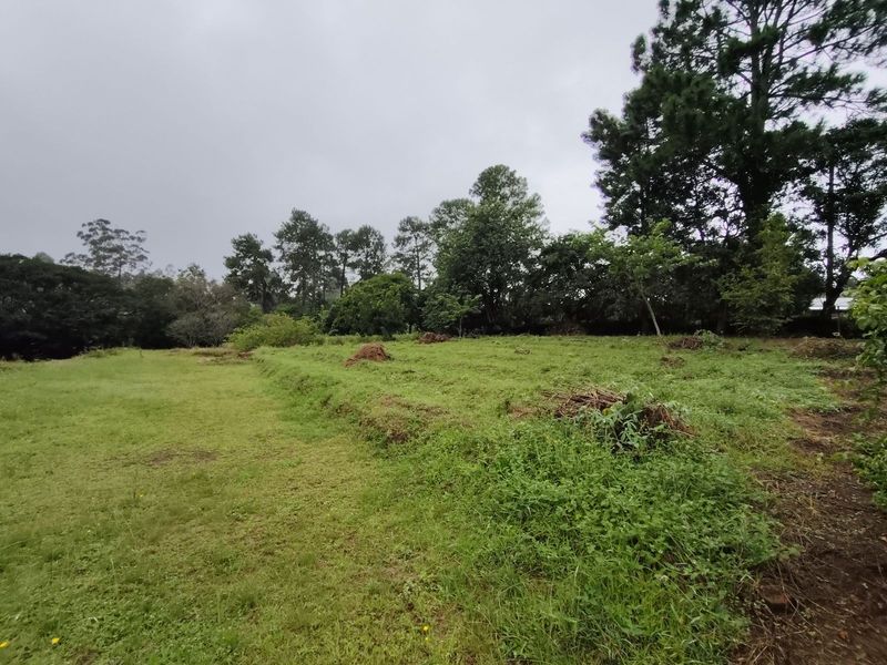 Vacant Land Residential For Sale in Crestholme - Photo 5