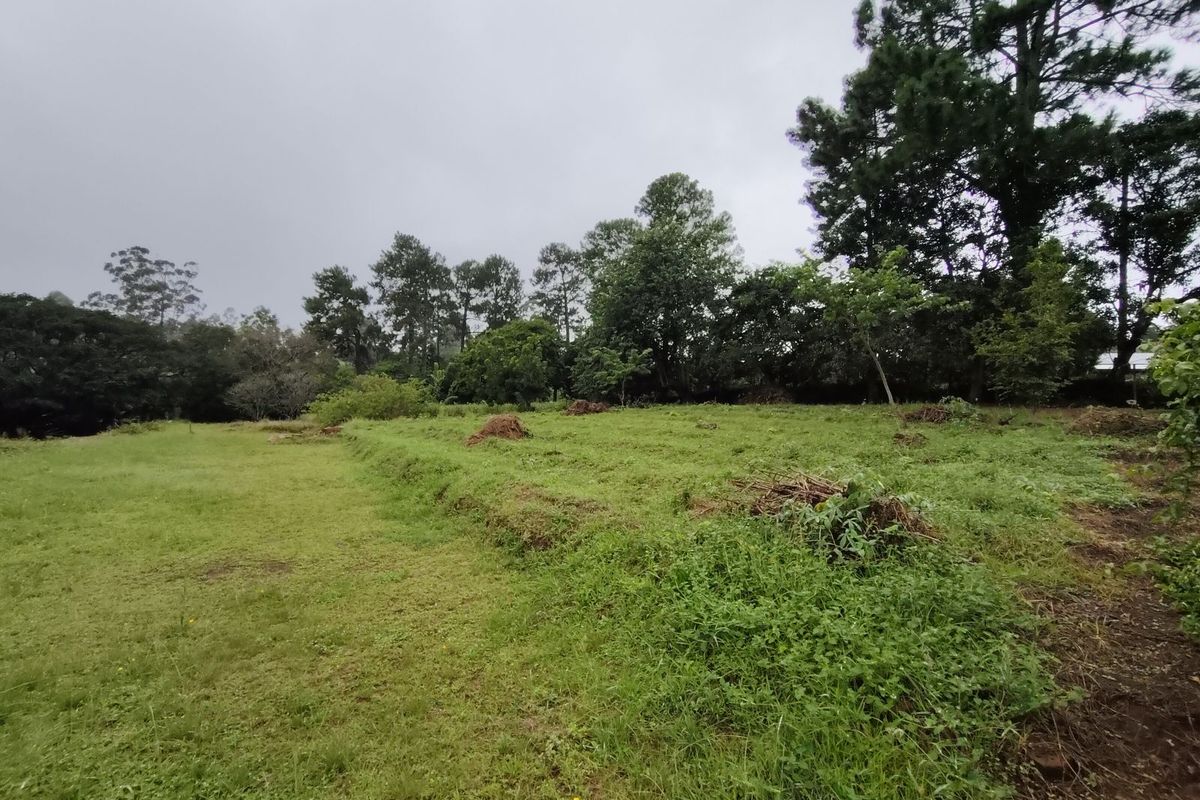 Vacant Land Residential For Sale in Crestholme - Photo 5