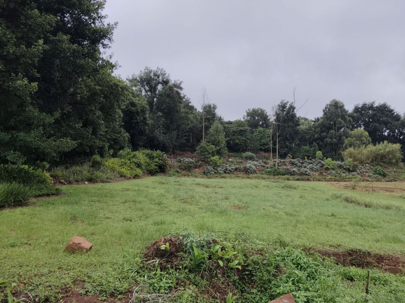 Vacant Land Residential For Sale in Crestholme - Photo 2