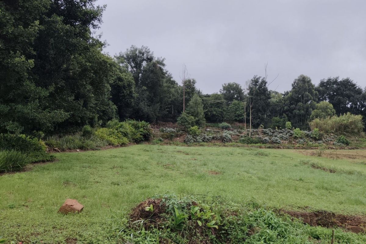 Vacant Land Residential For Sale in Crestholme - Photo 2