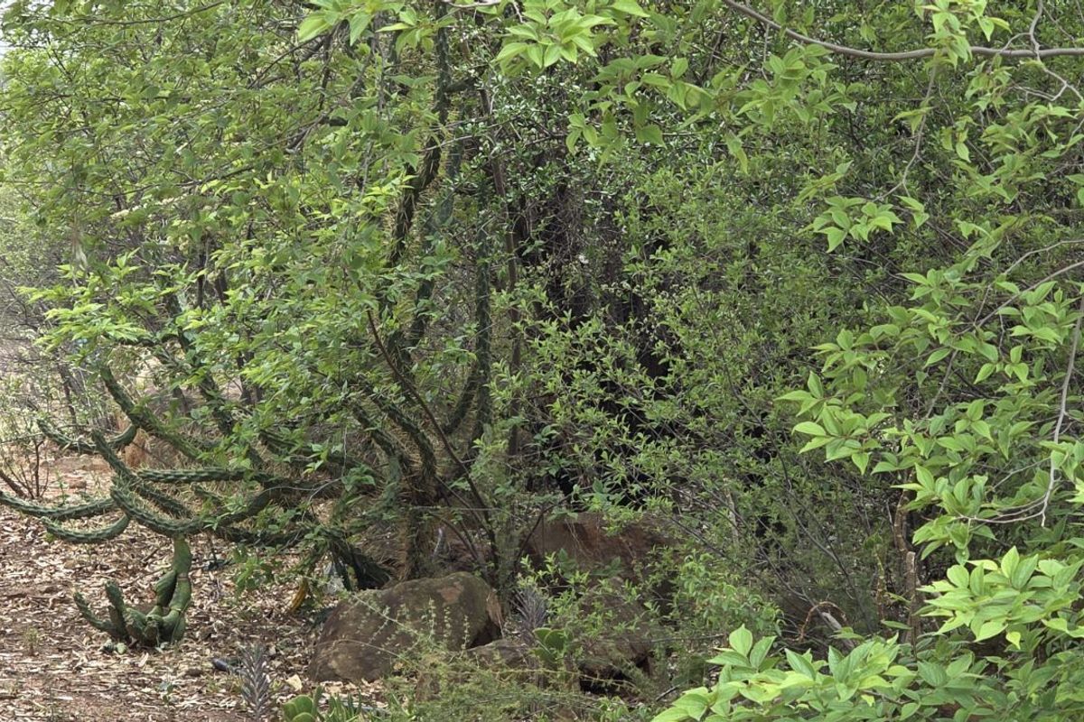 Vacant Land Residential For Sale in Vaal Marina Central - Photo 2