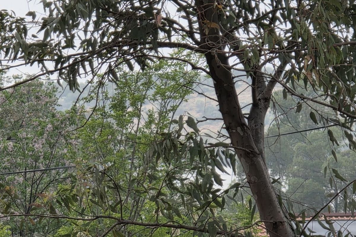 Vacant Land Residential For Sale in Vaal Marina Central - Photo 3