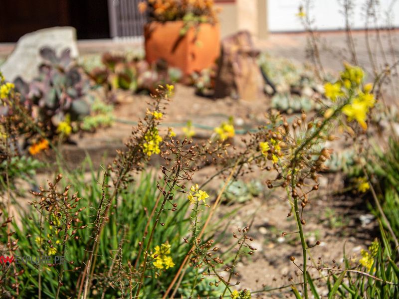 House For Sale in Morningside - Photo 5