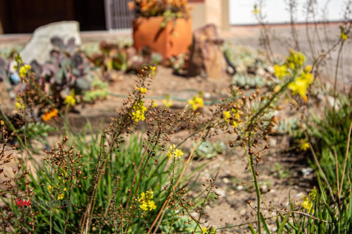 House For Sale in Morningside - Photo 5