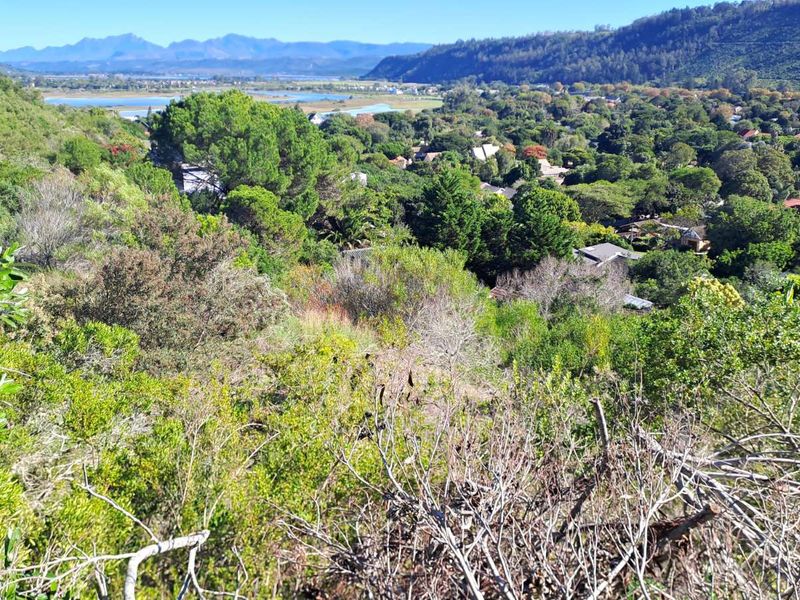 Vacant Land Residential For Sale in Sedgefield Central - Photo 3