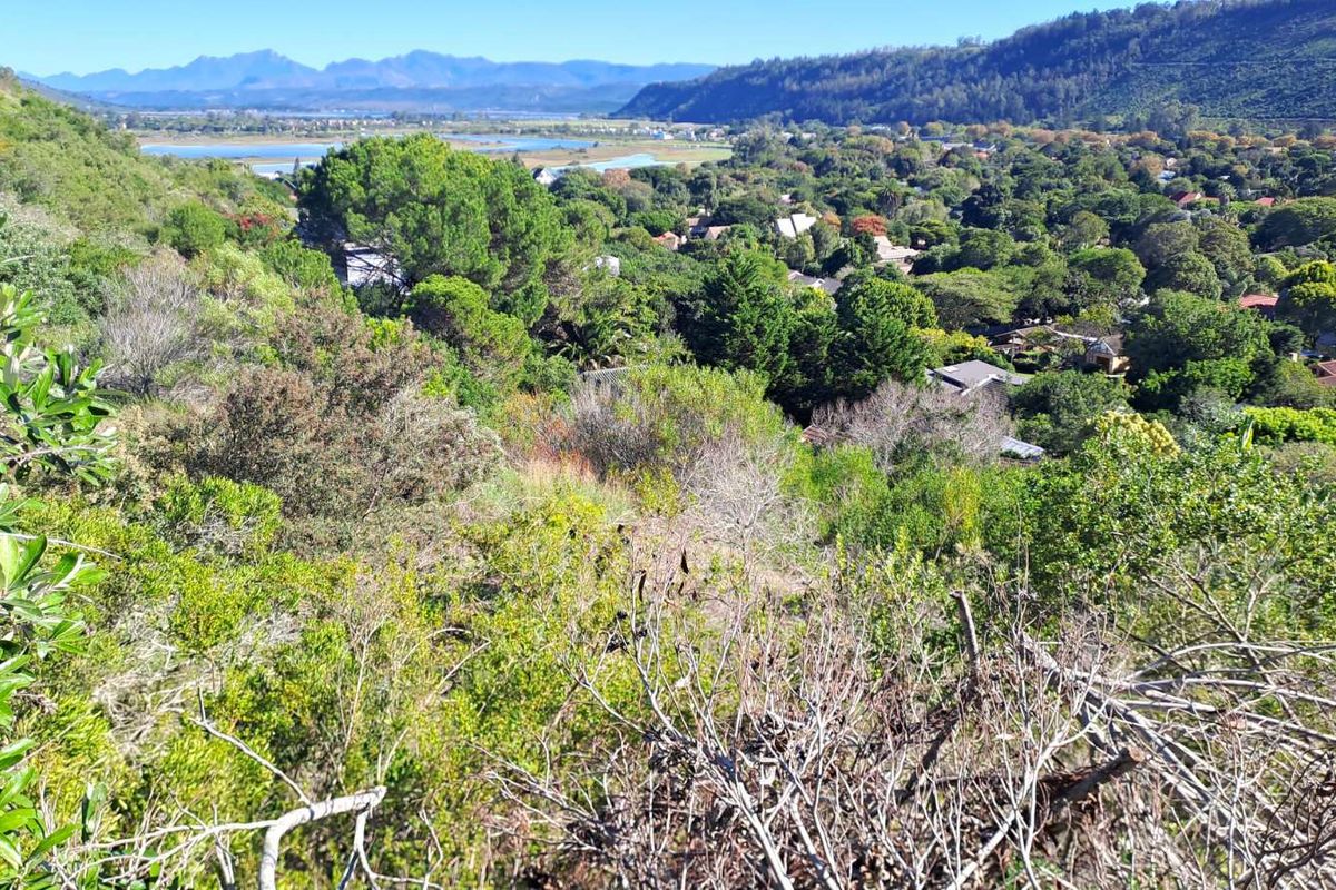 Vacant Land Residential For Sale in Sedgefield Central - Photo 3