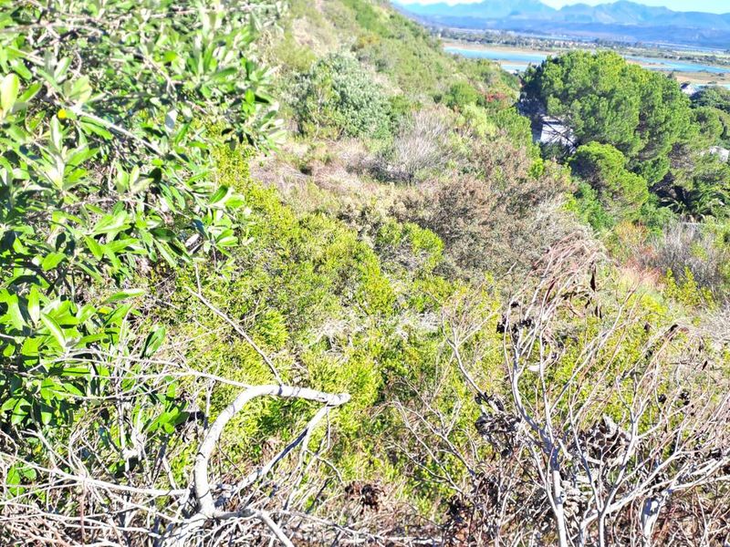 Vacant Land Residential For Sale in Sedgefield Central - Photo 5