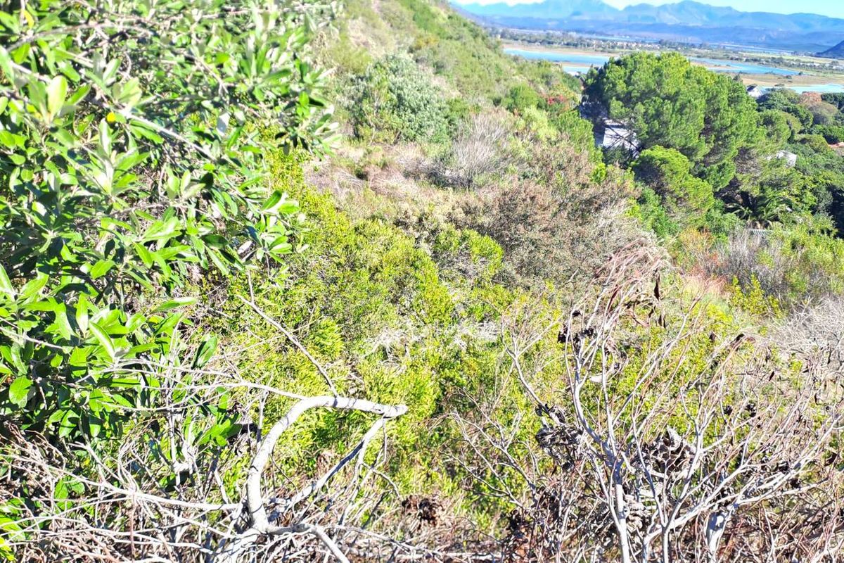 Vacant Land Residential For Sale in Sedgefield Central - Photo 5