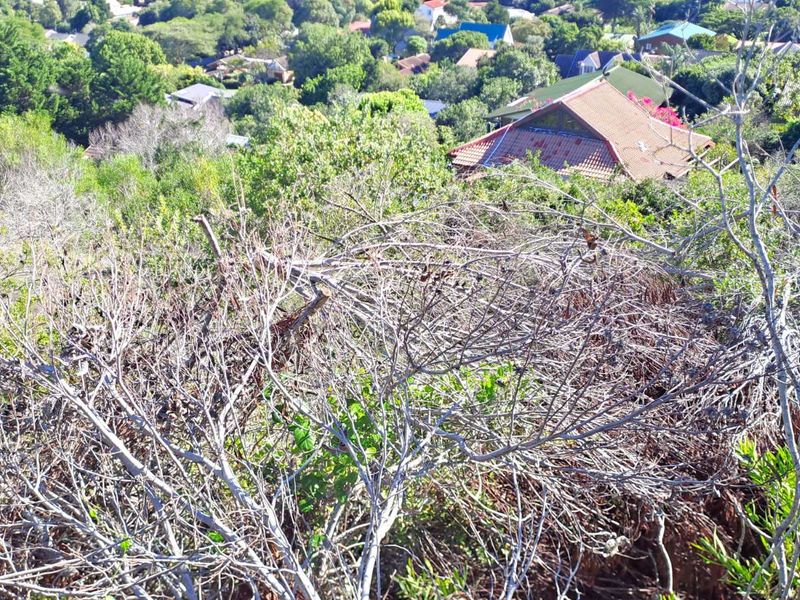 Vacant Land Residential For Sale in Sedgefield Central - Photo 4
