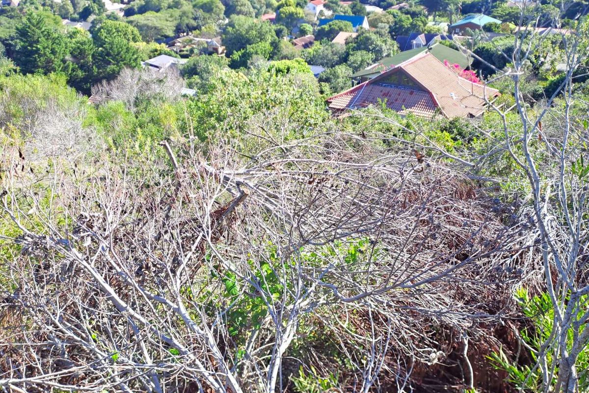 Vacant Land Residential For Sale in Sedgefield Central - Photo 4