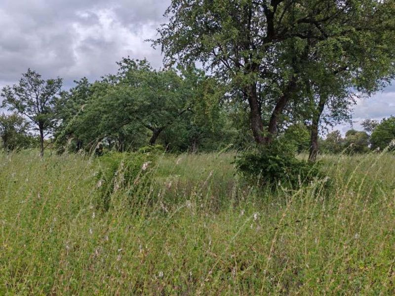 Farm For Sale in Mica - Photo 8