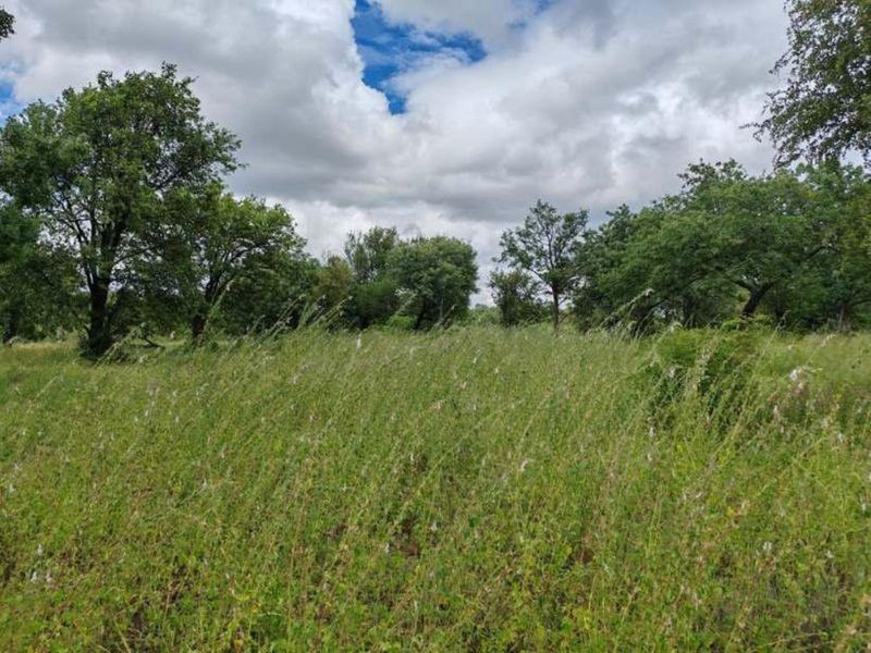 Farm For Sale in Mica - Photo 9