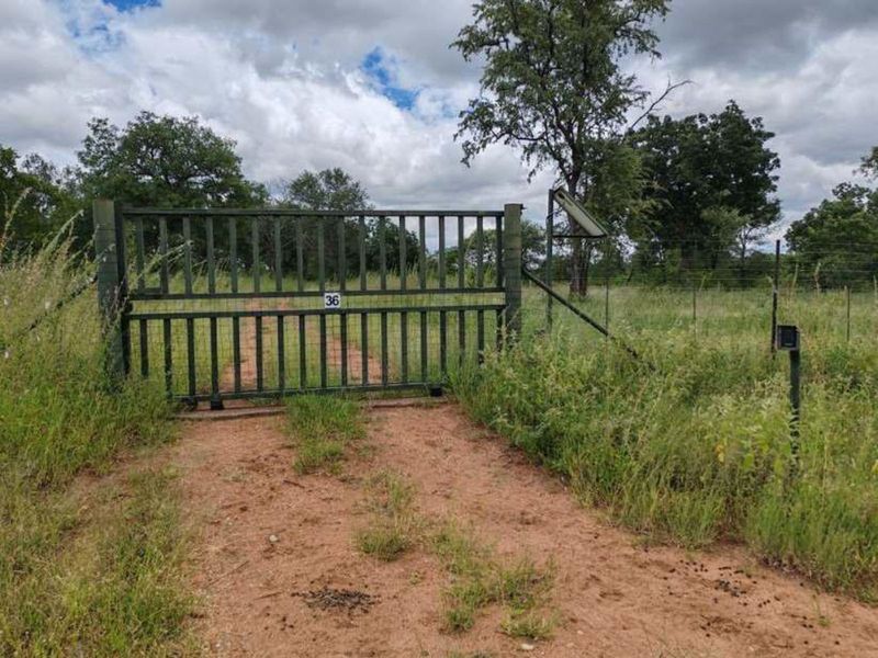 Farm For Sale in Mica - Photo 3