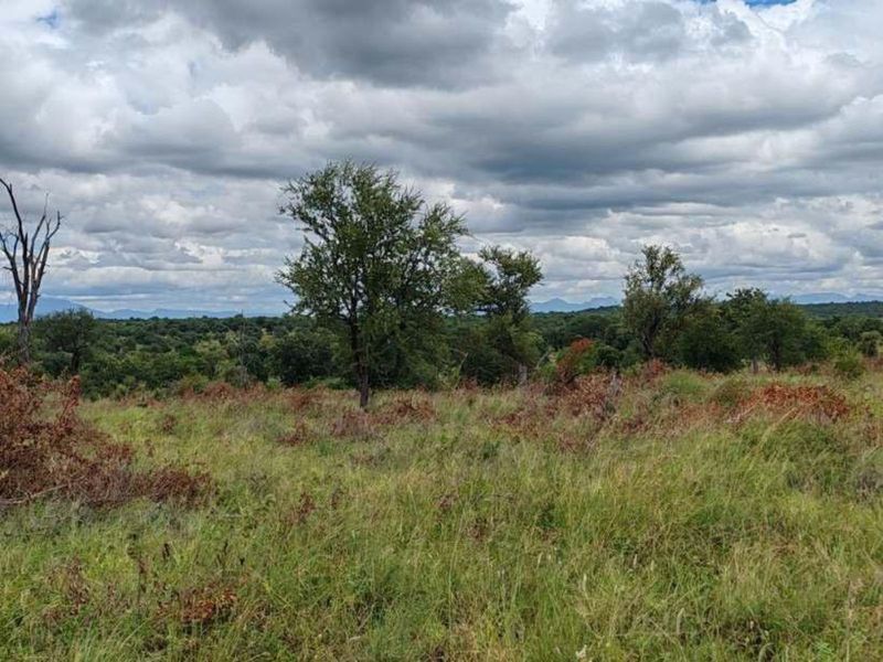 Farm For Sale in Mica - Photo 5