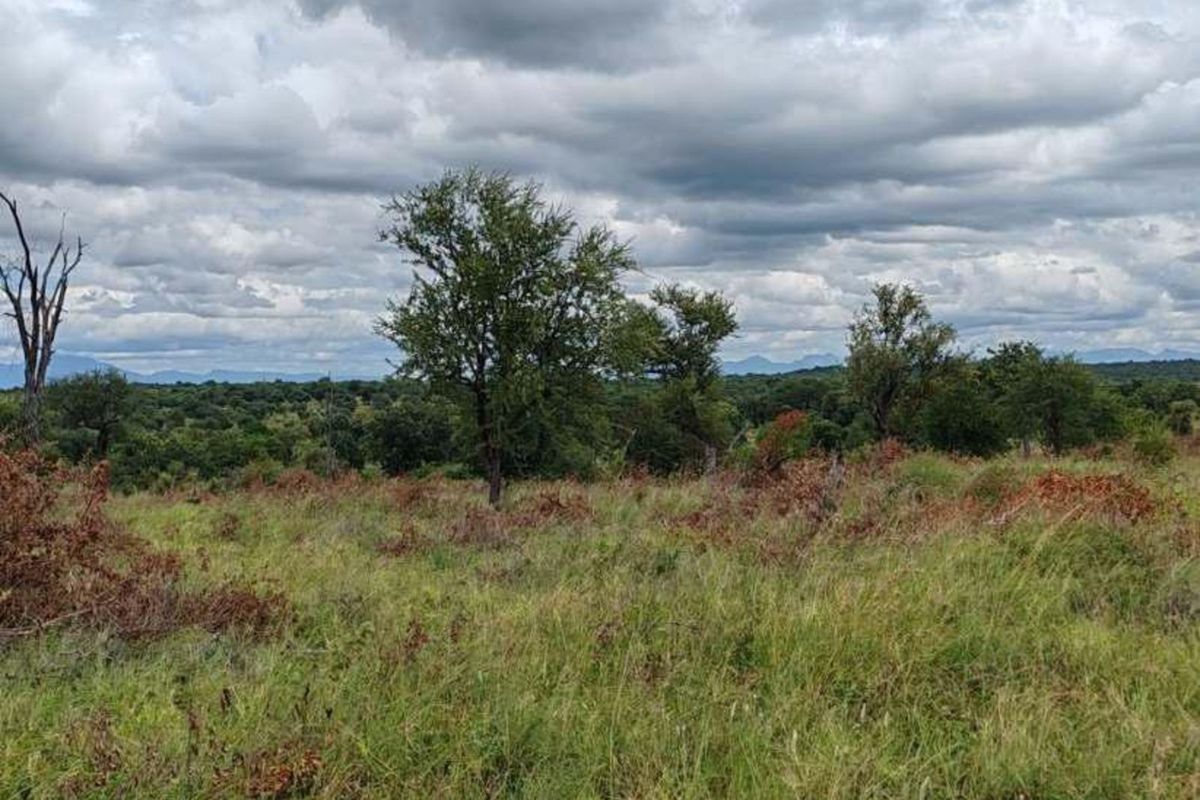 Farm For Sale in Mica - Photo 5