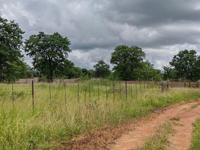 Farm For Sale in Mica - Photo 4