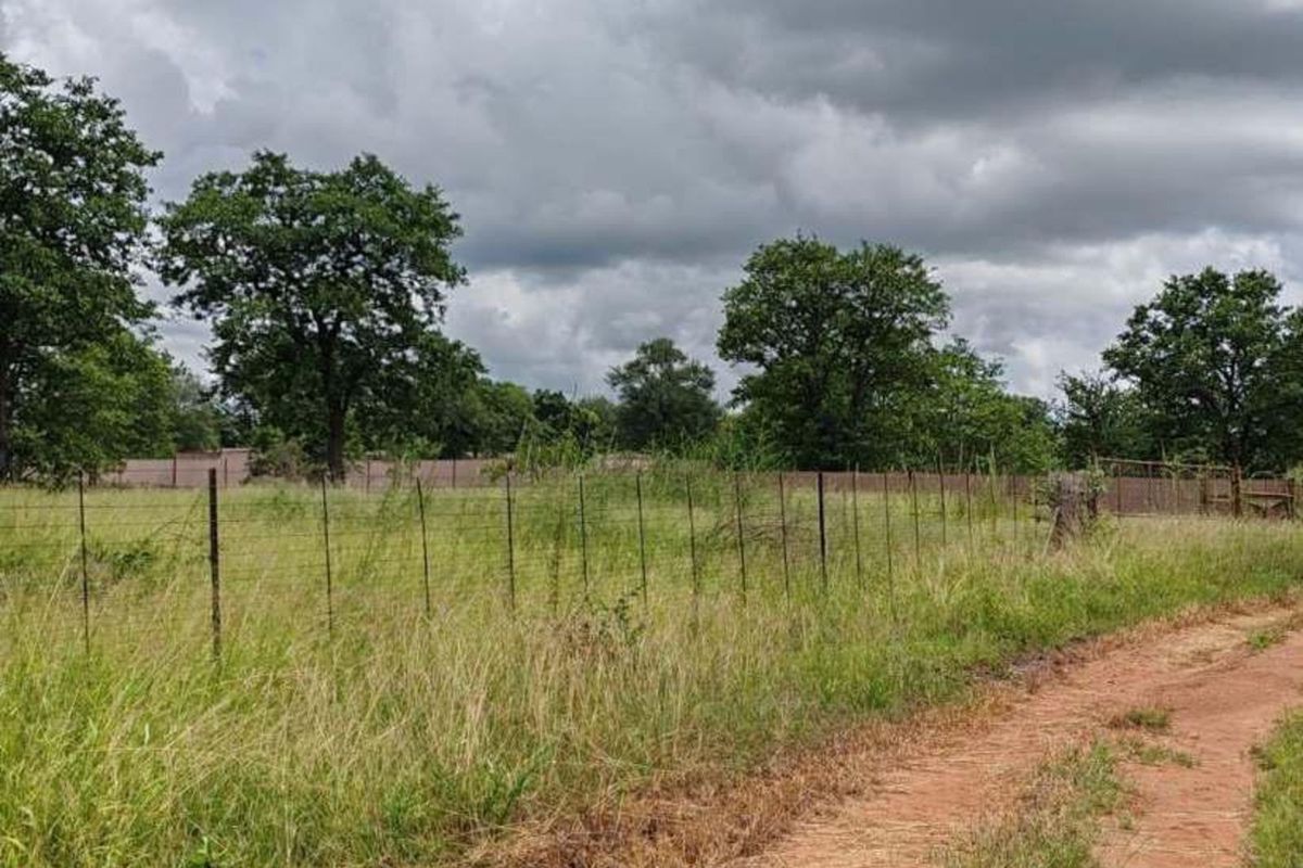 Farm For Sale in Mica - Photo 4