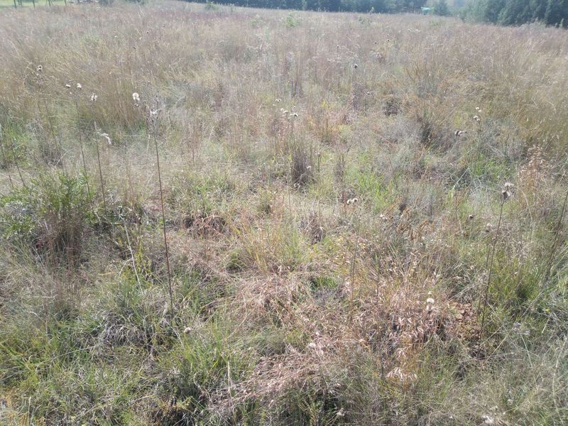 Vacant Land Residential For Sale in Rietvlei View Country Estates - Photo 3