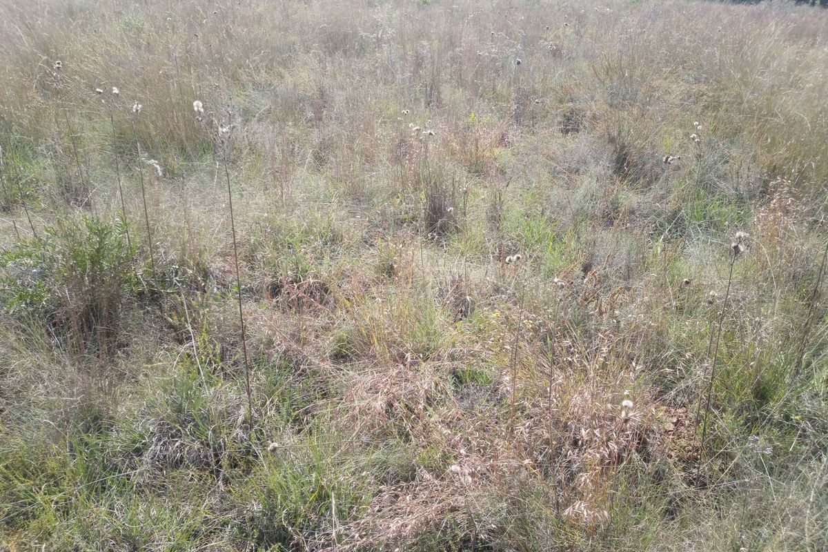 Vacant Land Residential For Sale in Rietvlei View Country Estates - Photo 3