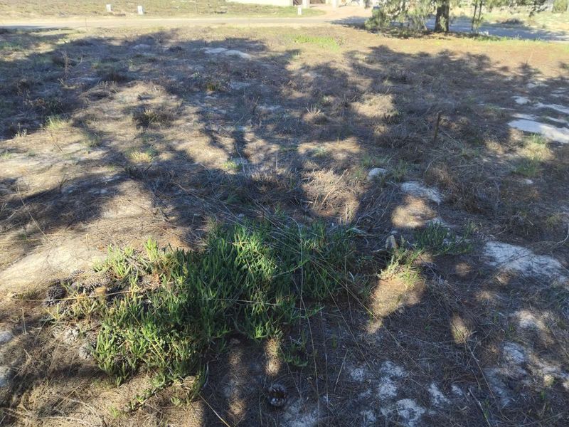 House For Sale in Albertinia Central - Photo 3