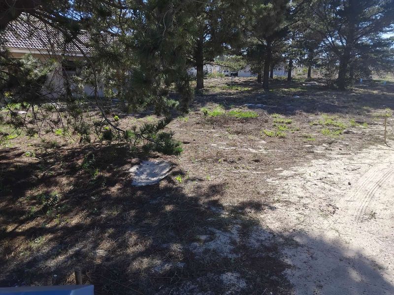 House For Sale in Albertinia Central - Photo 4