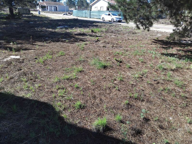 House For Sale in Albertinia Central - Photo 5