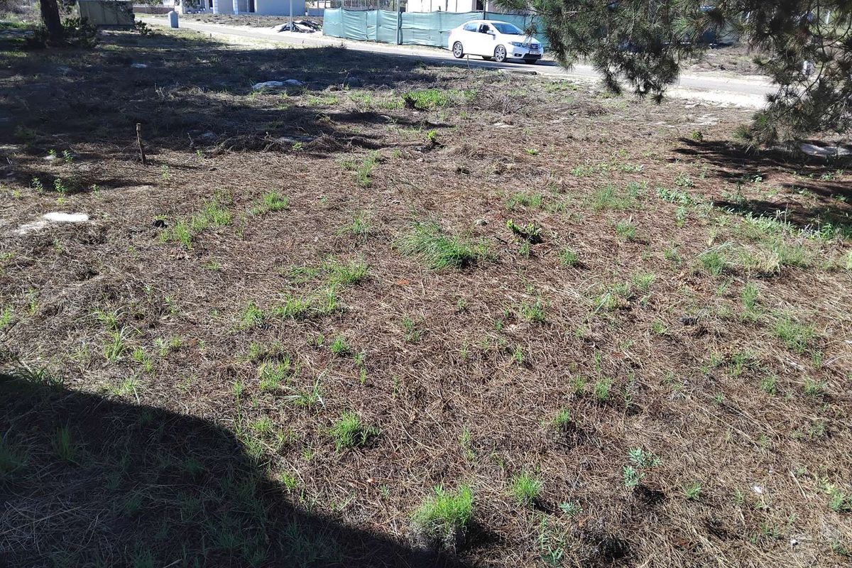 House For Sale in Albertinia Central - Photo 5