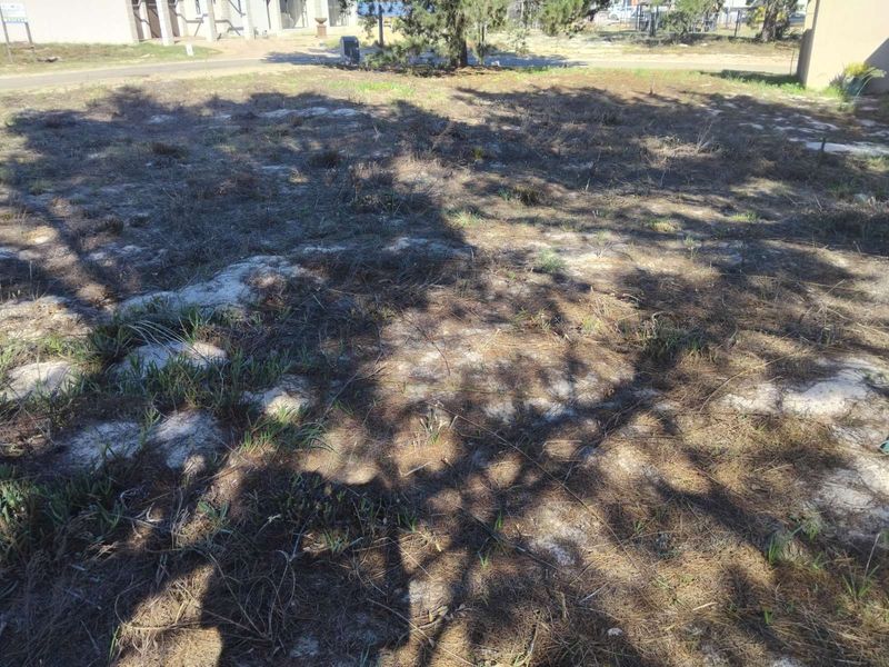 House For Sale in Albertinia Central - Photo 2