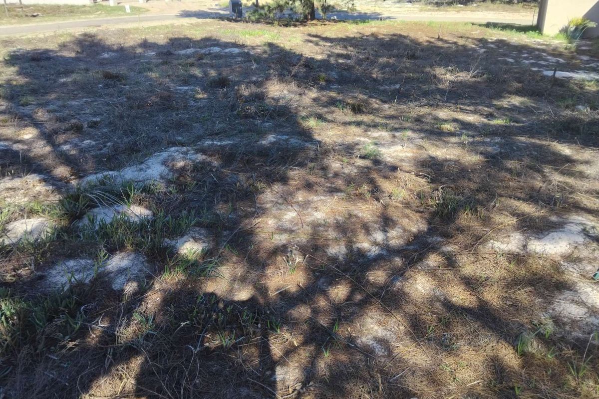 House For Sale in Albertinia Central - Photo 2