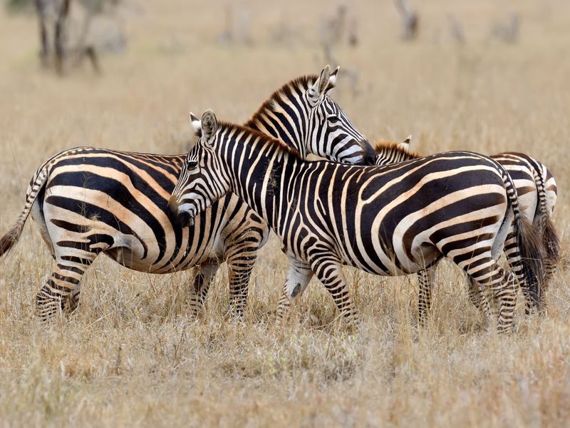 Vacant Land Residential For Sale in Vaal Marina Central - Photo 2