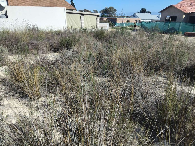 House For Sale in Albertinia Central - Photo 5