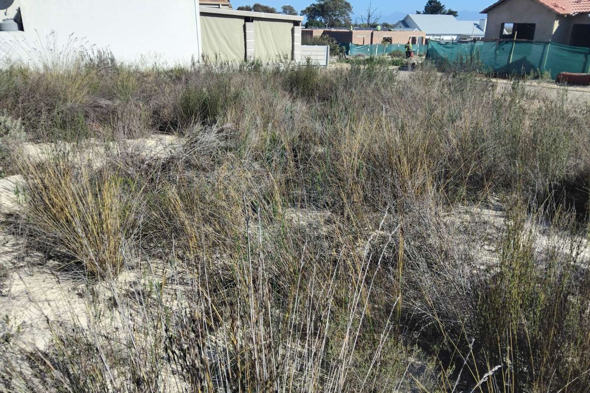 House For Sale in Albertinia Central - Photo 5