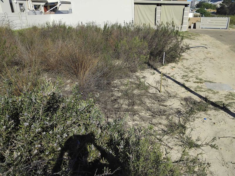 House For Sale in Albertinia Central - Photo 4