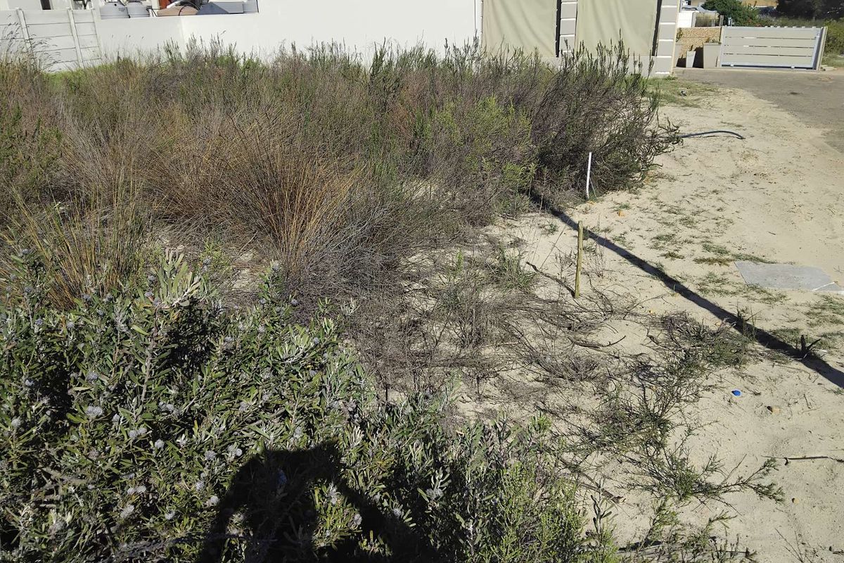 House For Sale in Albertinia Central - Photo 4