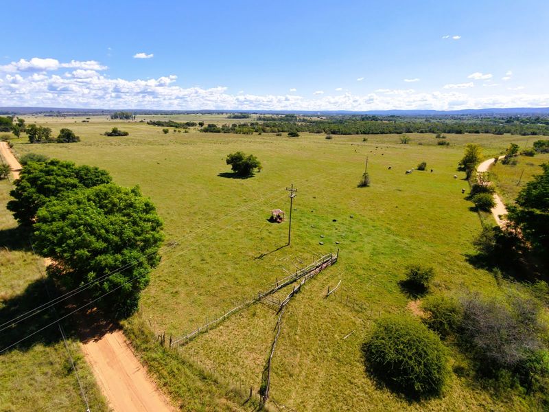Farm For Sale in Modimolle Rural - Photo 3